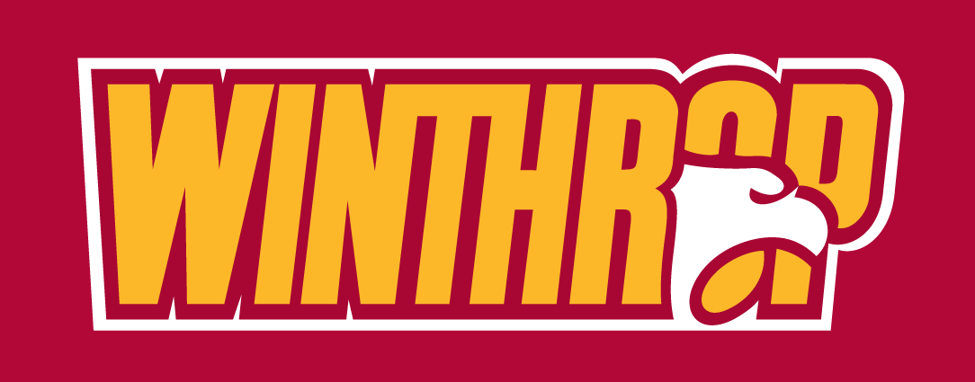 Winthrop Eagles 1995-Pres Wordmark Logo v4 diy DTF decal sticker